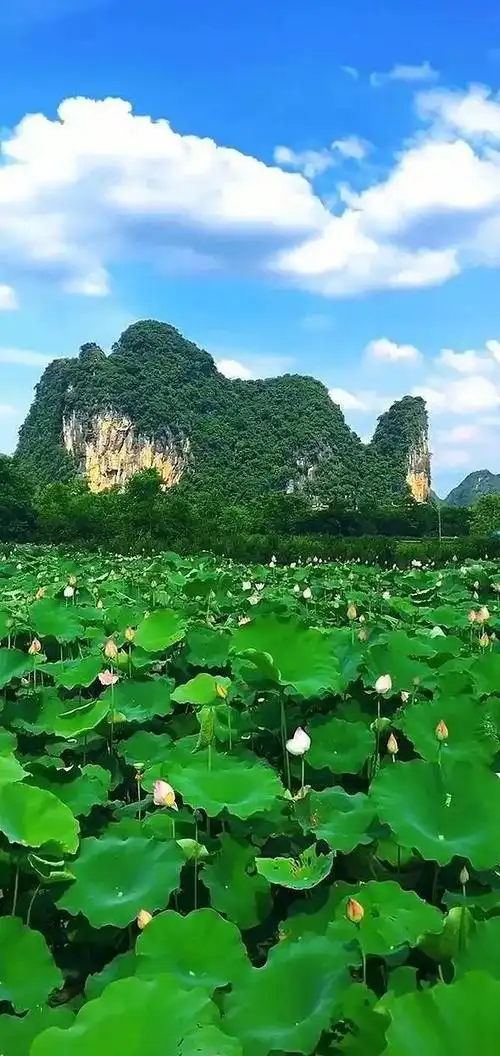 山水屏保壁纸图片高清,高清手机风景壁纸,好山好水好风景,山山水水
