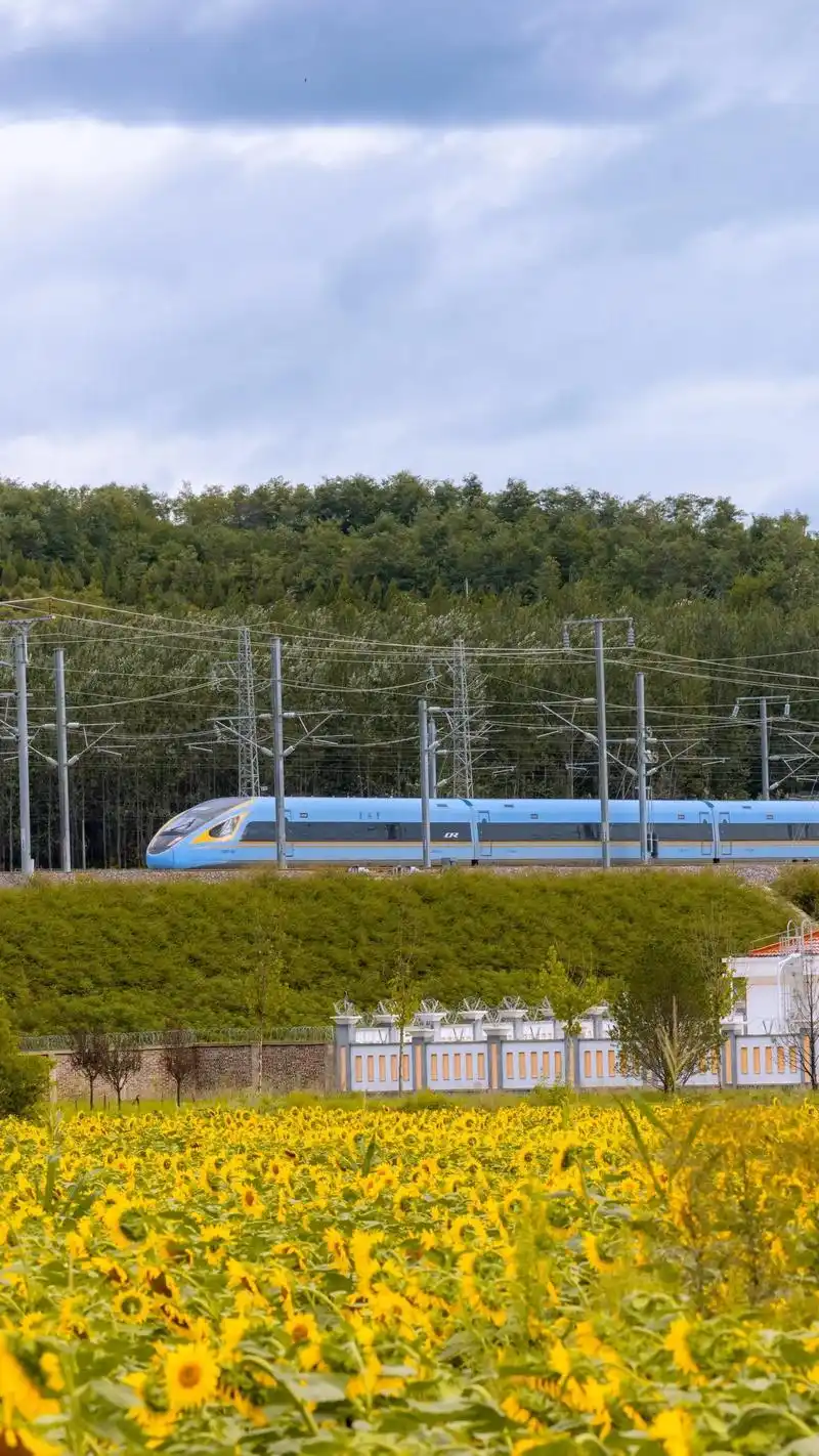 晋城东站的向日葵花海拍照超好看.大概位置在高铁站往东200米 - 抖音
