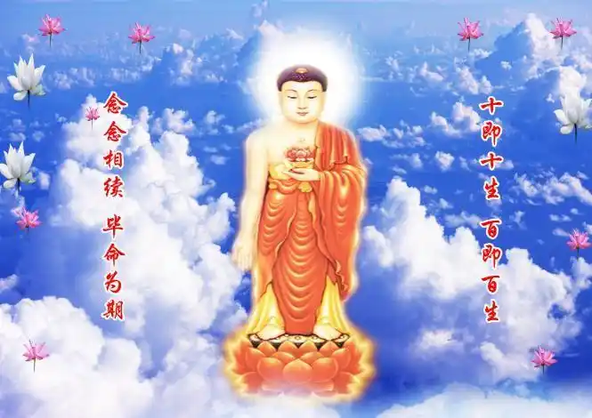 【转载】庄严无比的阿弥陀佛像大全(五星级推荐收藏)