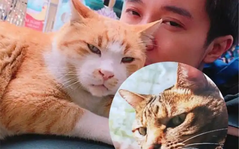 【吴青峰】泡泡:没想到你是这样的吴青峰?