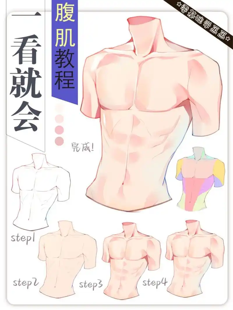 零基础腹肌教程|纤瘦型美男子腹肌画法 你们更喜欢大块头的双开门