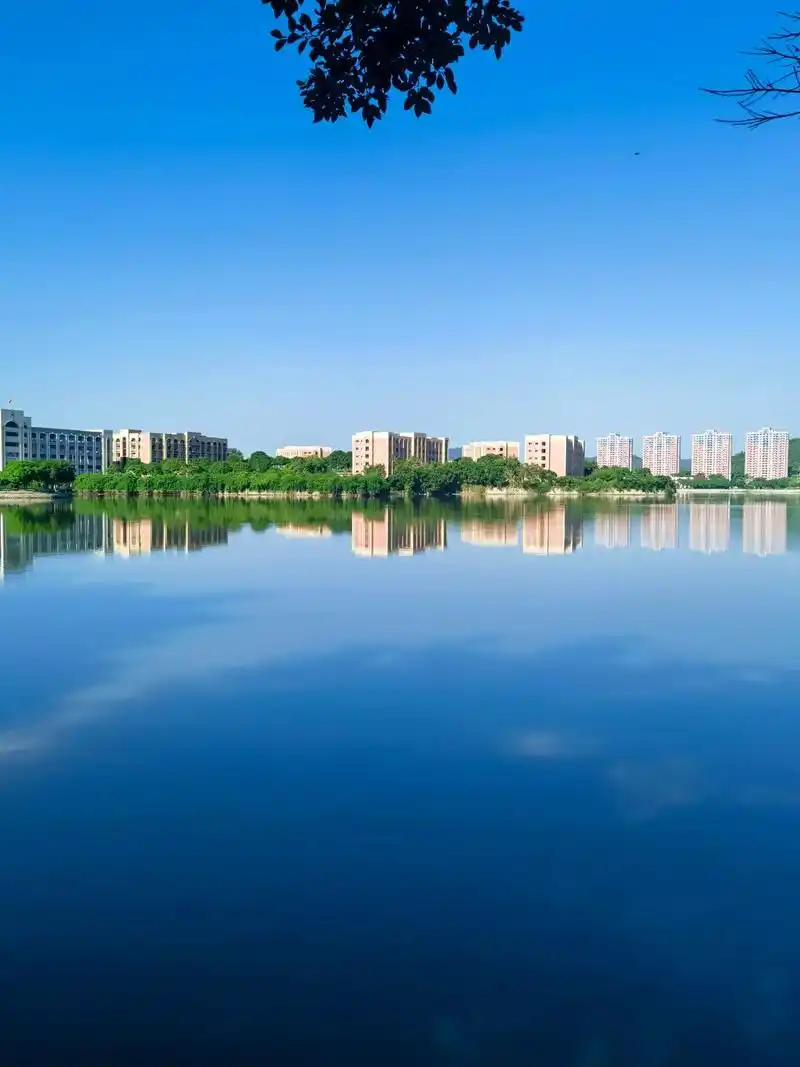 仰恩大学.仰恩大学#仰恩大学 #学校风景 #大学 #治愈系风 - 抖音