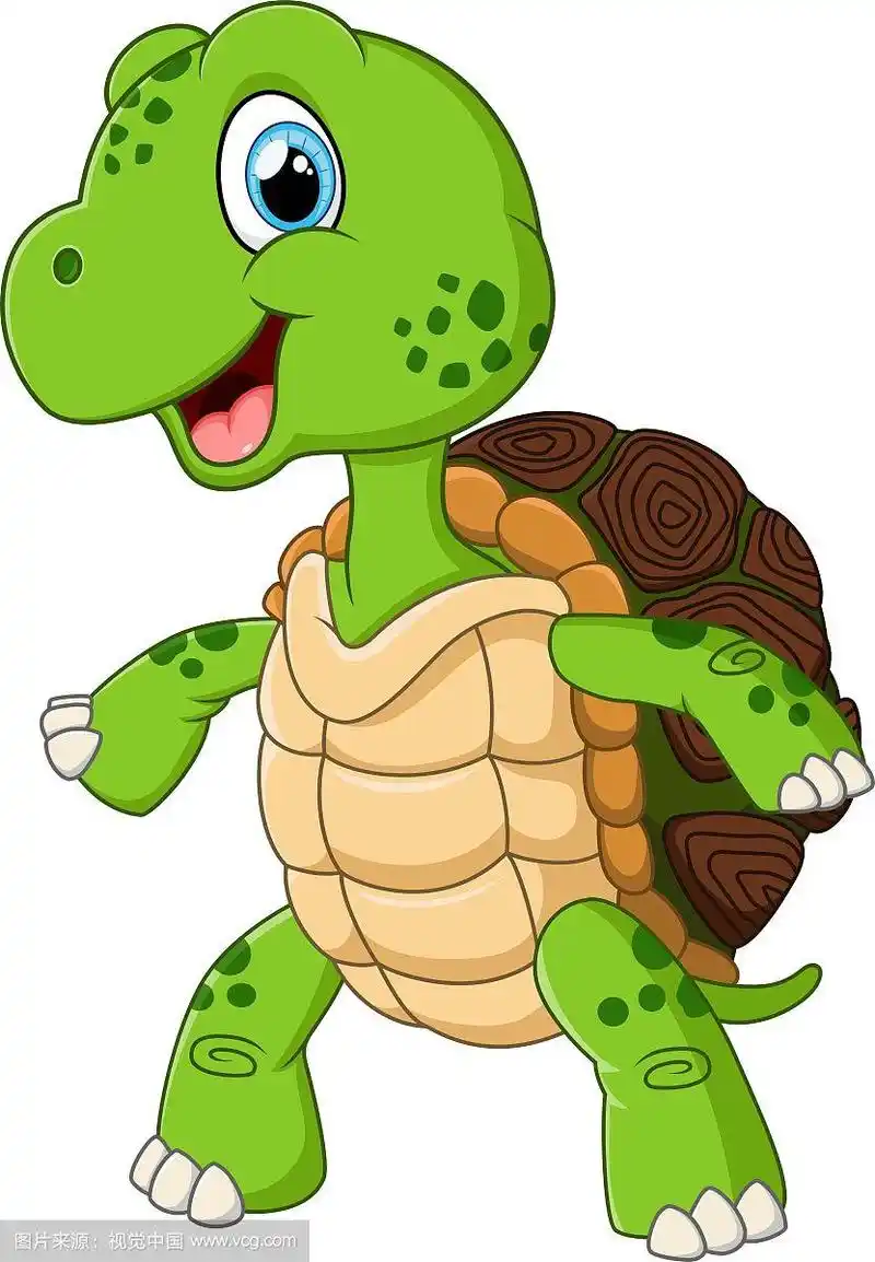 可爱的乌龟卡通造型