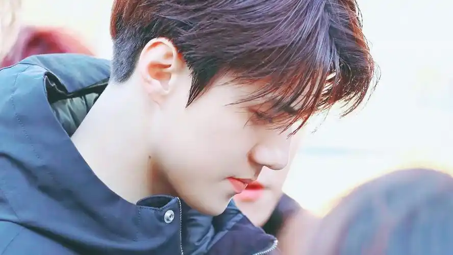 吴世勋橙光素材沈妤