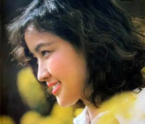 在当今的中国,似乎还没有哪一个演员像刘晓庆这样,不仅因为银幕上的