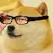 神烦狗戴眼镜_神烦_戴眼镜表情