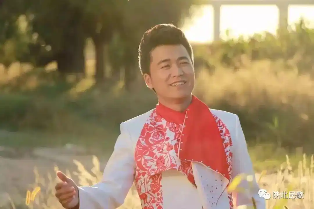 一对对鸳鸯水上漂丨柳强强演唱·陕北民歌第525期