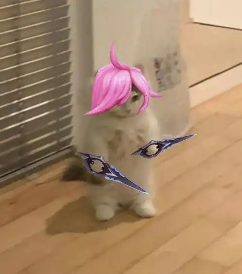 英雄联盟猫猫表情包(第三期) - 知乎