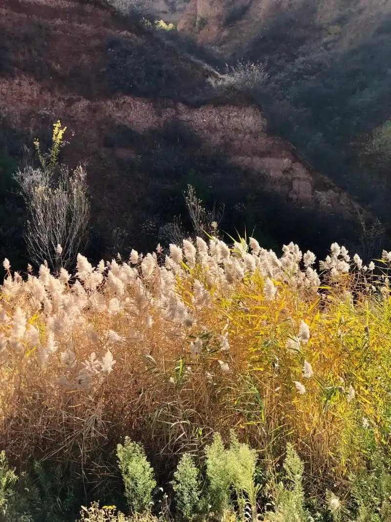 身边|不容错过的美景