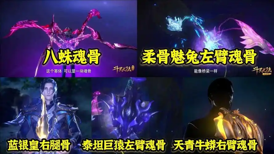 斗罗中最强五大魂骨阿银送的蓝银皇右腿骨垫底第一进化为超神器