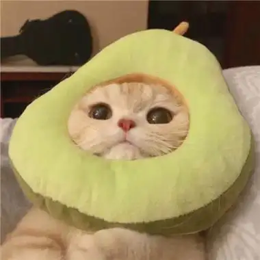 可爱搞怪头像女生萌萌哒明天也会一切顺利