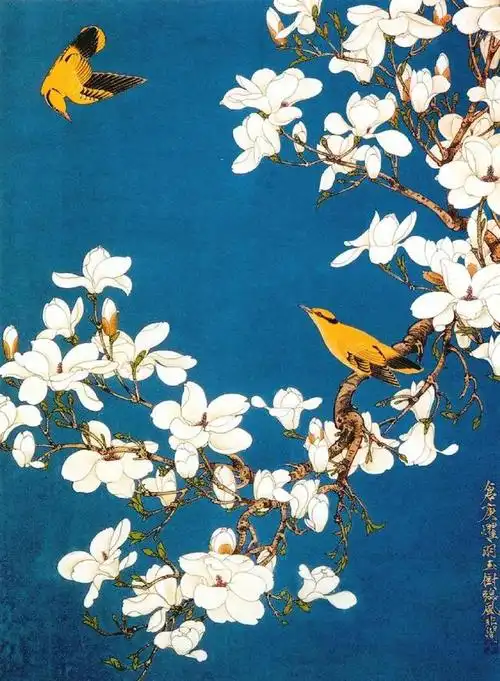 唯美国画:玉兰花儿开