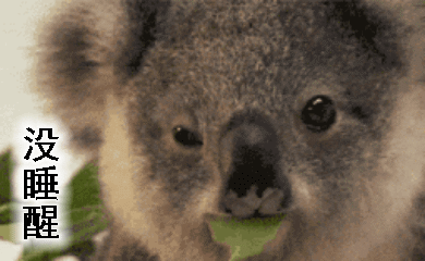 考拉(树袋熊)的搞笑动图表情包