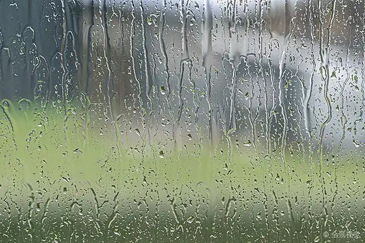 窗户_花园_雨滴_雨天_高清图片_全景视觉