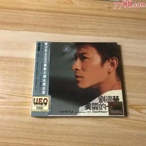 刘德华美丽的一天