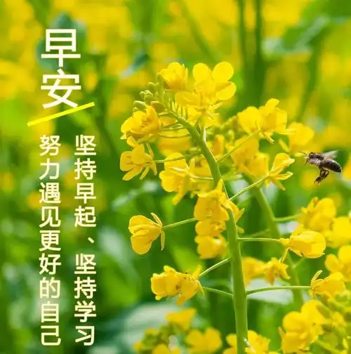 健康祝福语简短唯美(健康快乐的经典句子) 第6张