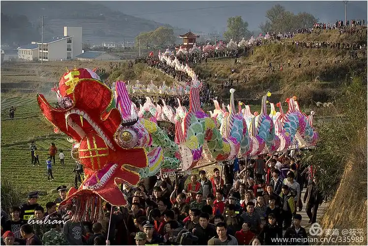 闽西连城姑田游大龙