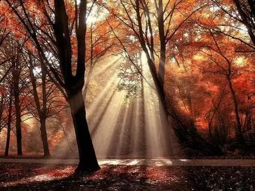 掌握这6个技巧,你就能拍出最美的耶稣光