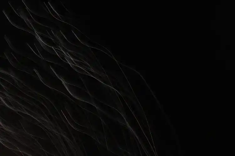 经典纯黑色桌面背景图片