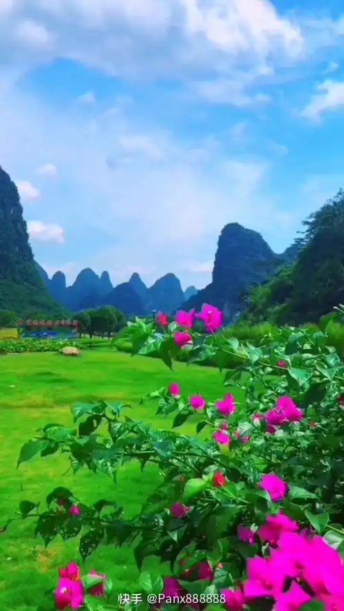 鸟语花香,山清水秀.欣赏作品.望奎县卫星.a2月3日.