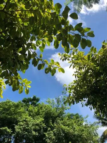 蓝天碧海阳光沙滩