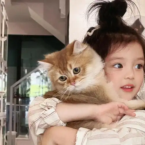 最近保存的可爱头像