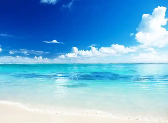 蓝天白云下的一望无际的大海和沙滩海洋与沙滩