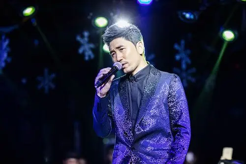 蒙面歌王沙宝亮