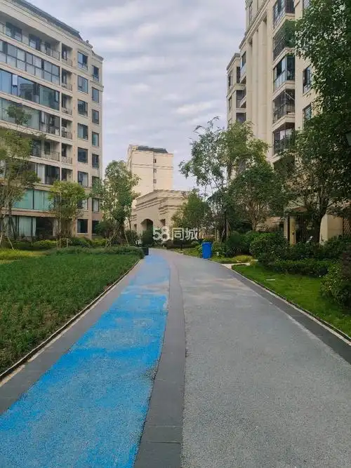 渠县万兴广场渠江大桥渠江天誉城渠江天誉城 3室2厅1卫出租房源真实