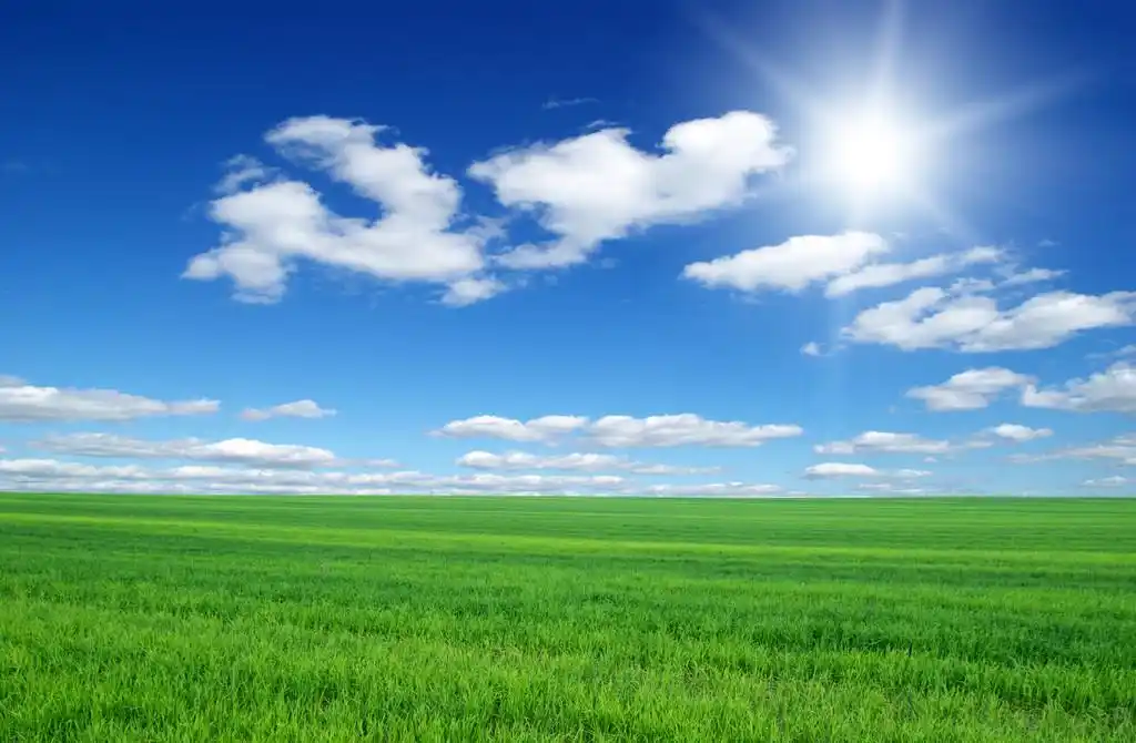 绿色的原野,绿地蓝天