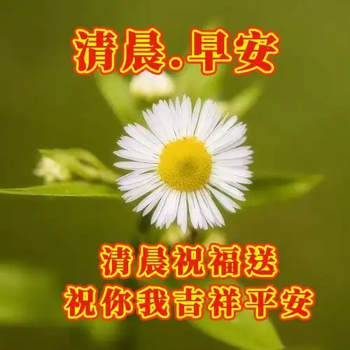 5月21日早安图片,新鲜推出的早安祝福语图片大全