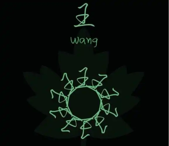 姓氏王的来源-取名-风水八字同城网