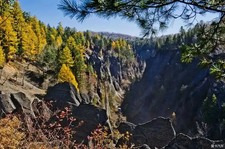 中国最美森林之长白山红松阔叶混交林