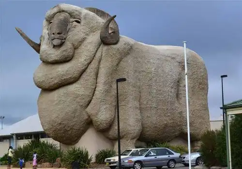 [原创]全世界最高最肥最大绵羊