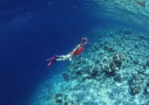 男人们要带自己的女人去潜水,水下是最美的精灵
