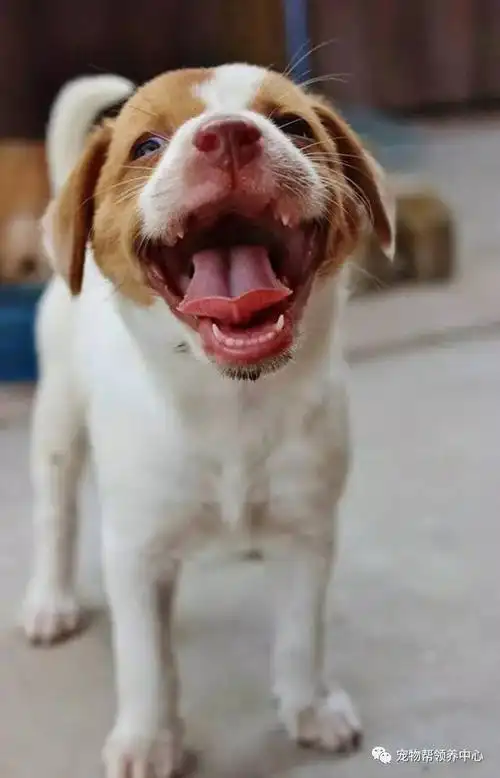 640_996竖版 竖屏