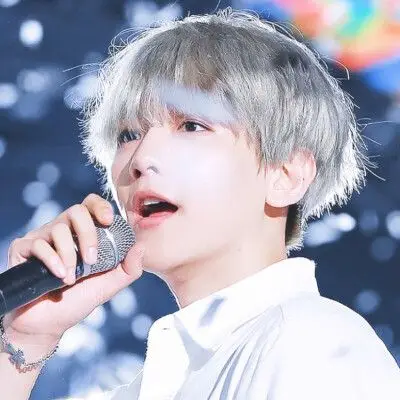 边伯贤朴秀荣情头