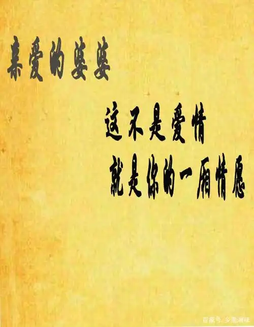 亲爱的婆婆,那不是爱情,那只是一厢情愿