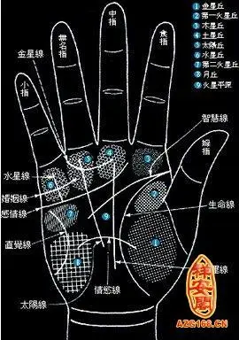 手掌痣相图解