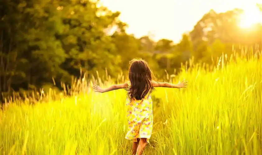 阳光下奔跑背影图片