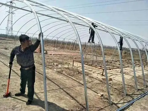 搭建简易钢管大棚方法与步骤示意图