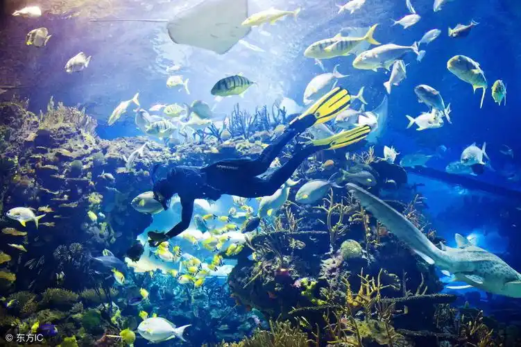 兰州新区陕甘青最大海洋馆明年10月试营业
