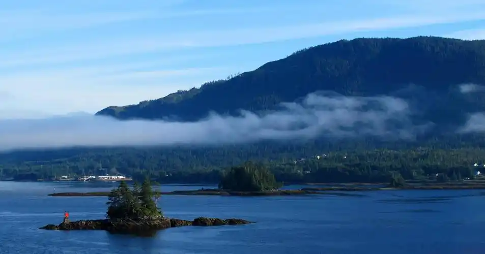 不问人生多少事心若止水静如兰