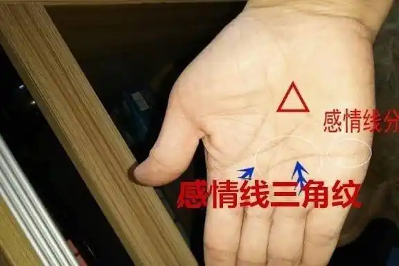 感情线上拥有三角纹三角形的纹路就是三角纹,一般来说会出现在线纹的