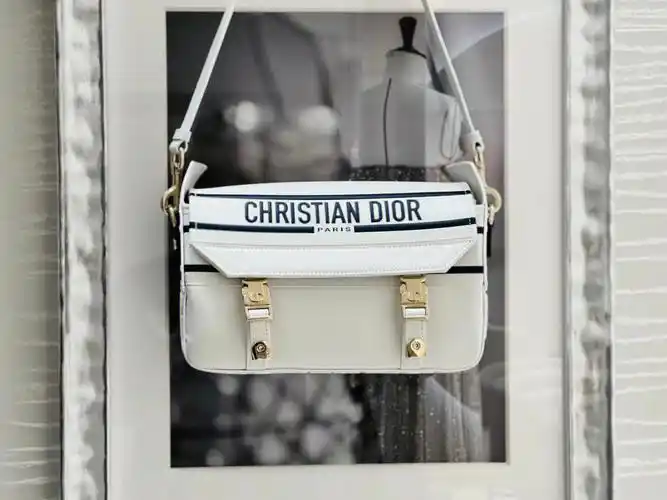 dior 新款邮差包 95#dior  #dior包  #dior邮差包