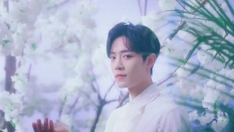 肖战新歌光点全网上线热爱可抵岁月漫长愿一起成长为更好的人