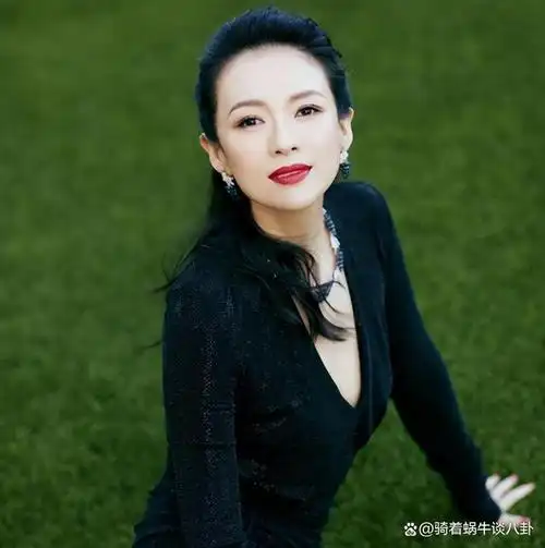 撒贝宁的真实收入曝光,再看汪峰的年收入,难怪章子怡要分手?