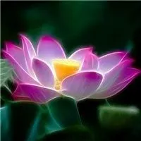 佛教中的圣物莲花图片头像_微信头像图片大全