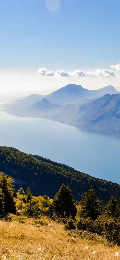 1080_2340竖版 竖屏