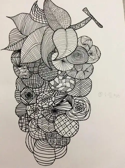 葡萄线条画